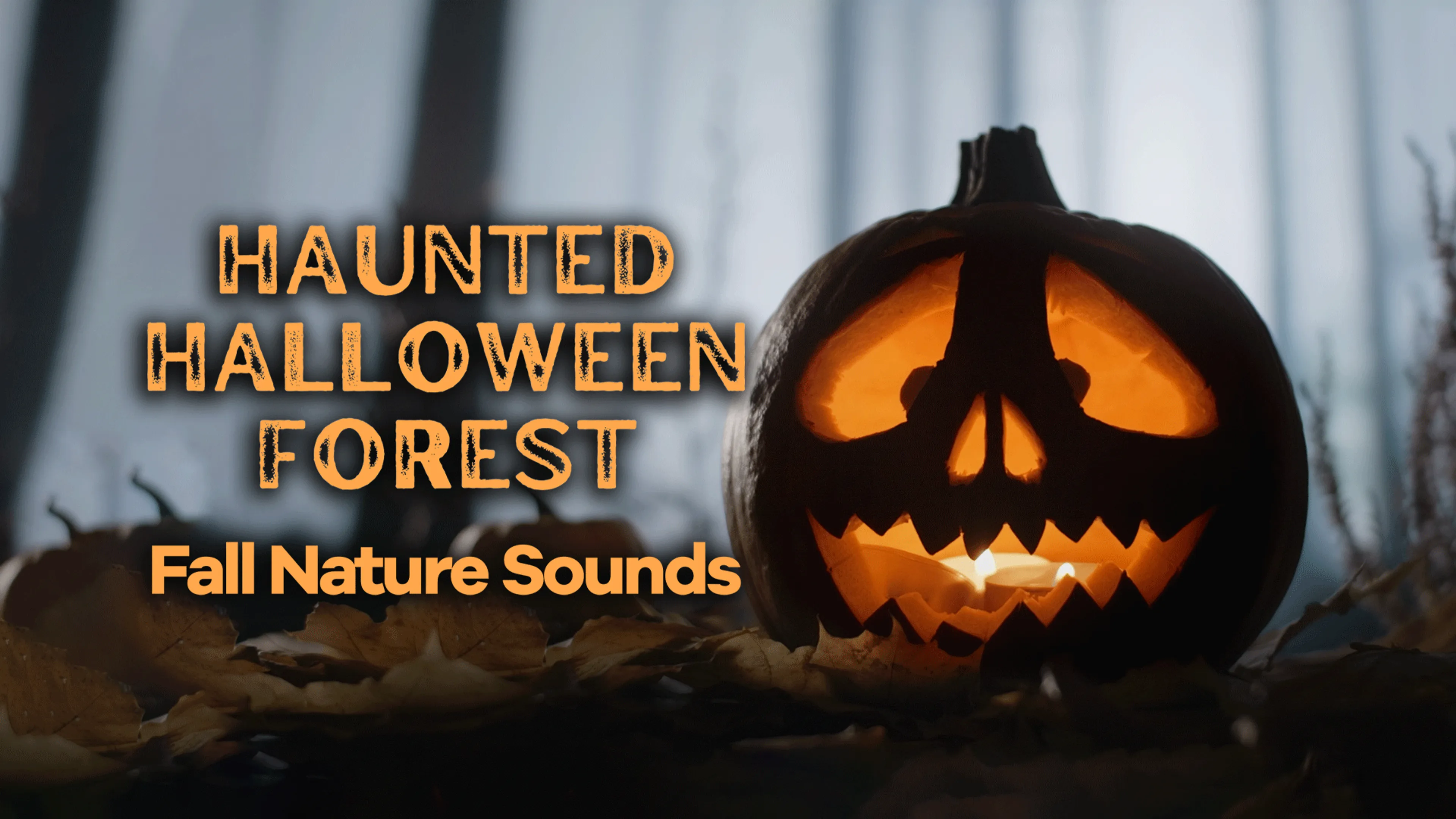 Haunted Halloween Forest: Fall Nature Sounds poster